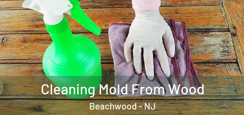 Cleaning Mold From Wood Beachwood - NJ