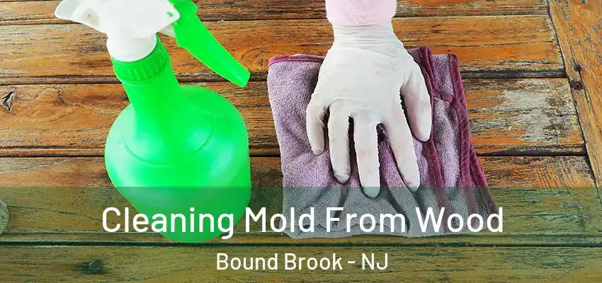 Cleaning Mold From Wood Bound Brook - NJ