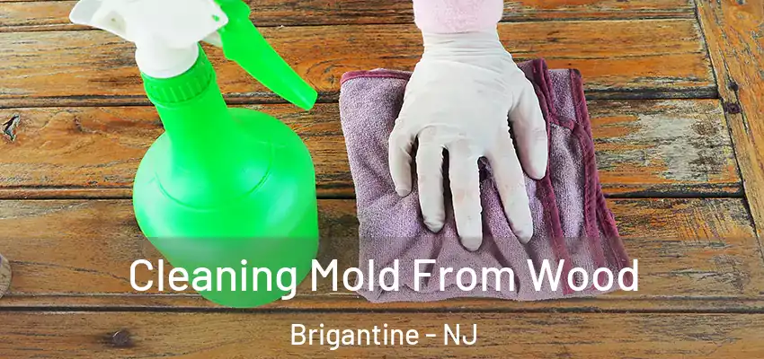 Cleaning Mold From Wood Brigantine - NJ