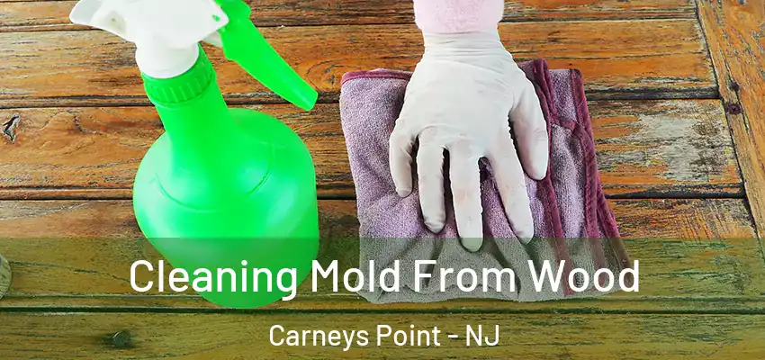  Cleaning Mold From Wood Carneys Point - NJ