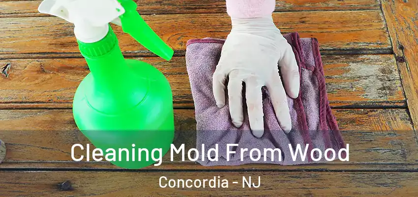 Cleaning Mold From Wood Concordia - NJ
