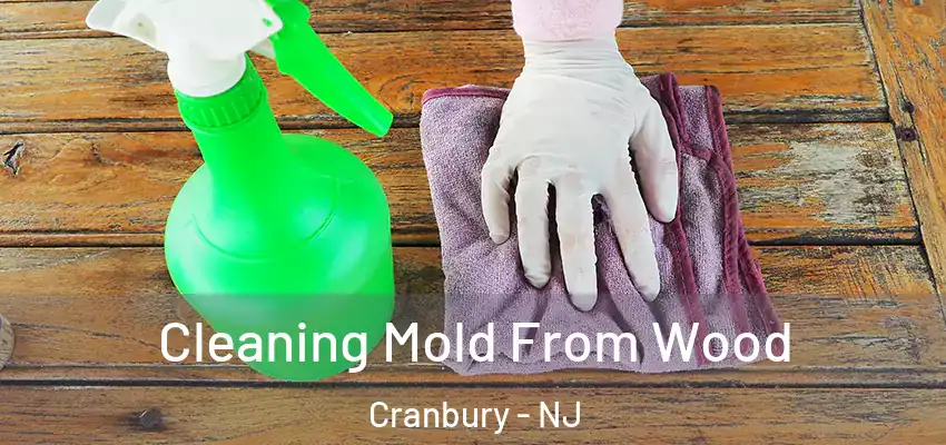 Cleaning Mold From Wood Cranbury - NJ