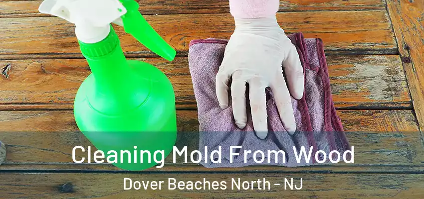 Cleaning Mold From Wood Dover Beaches North - NJ