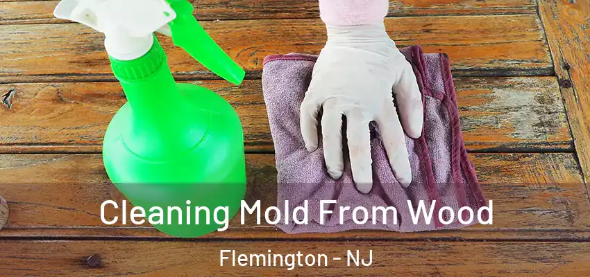  Cleaning Mold From Wood Flemington - NJ