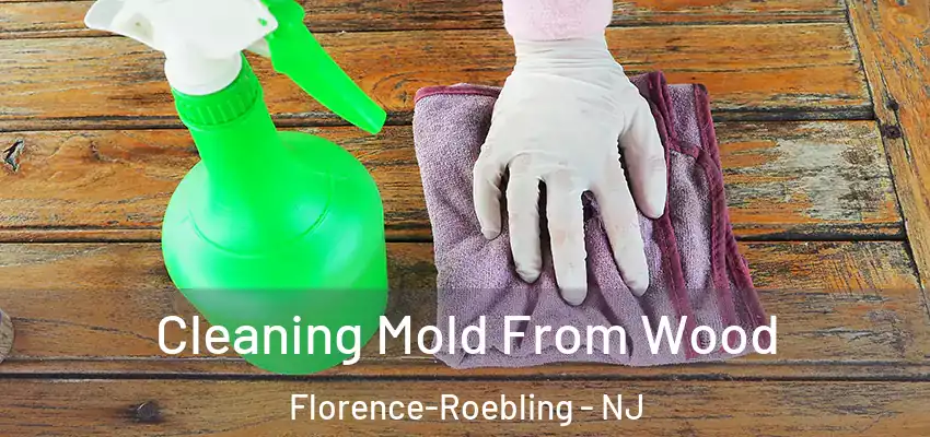 Cleaning Mold From Wood Florence-Roebling - NJ