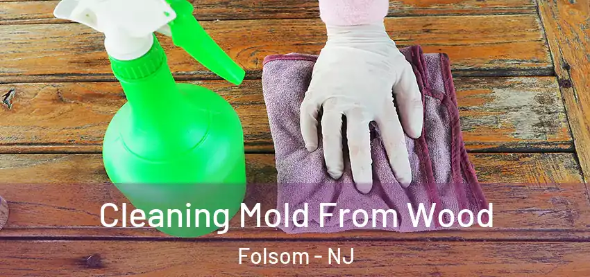 Cleaning Mold From Wood Folsom - NJ