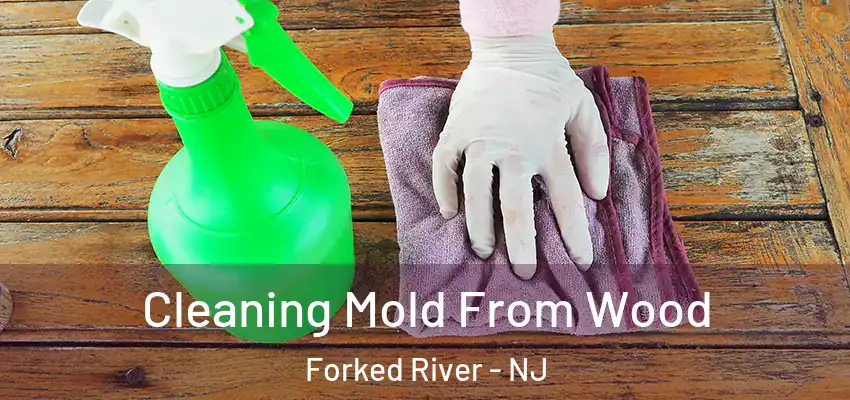 Cleaning Mold From Wood Forked River - NJ