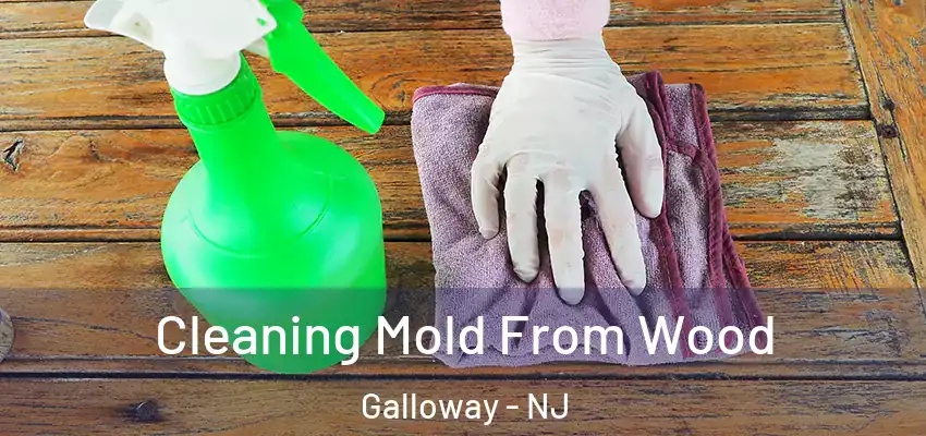 Cleaning Mold From Wood Galloway - NJ