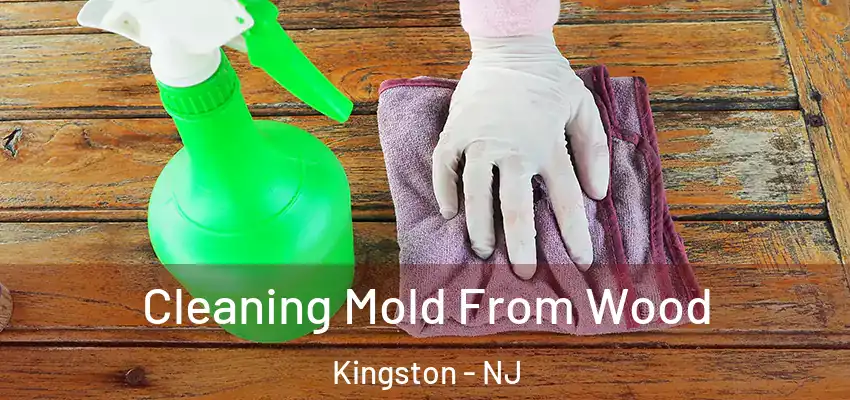  Cleaning Mold From Wood Kingston - NJ