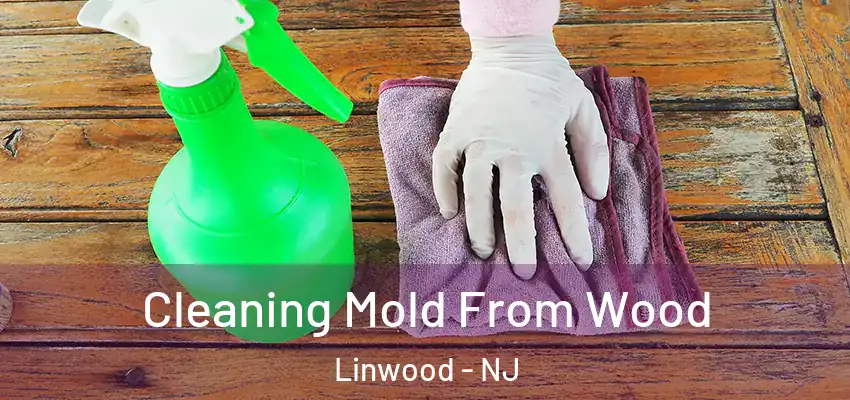  Cleaning Mold From Wood Linwood - NJ