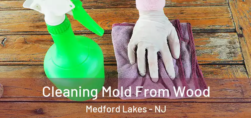 Cleaning Mold From Wood Medford Lakes - NJ