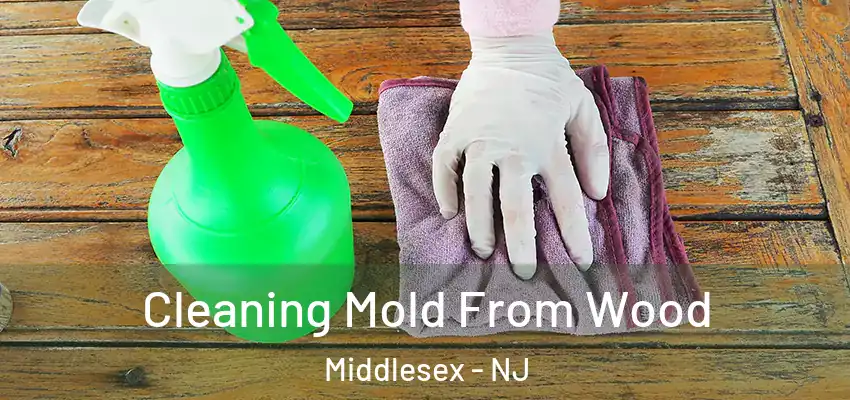 Cleaning Mold From Wood Middlesex - NJ