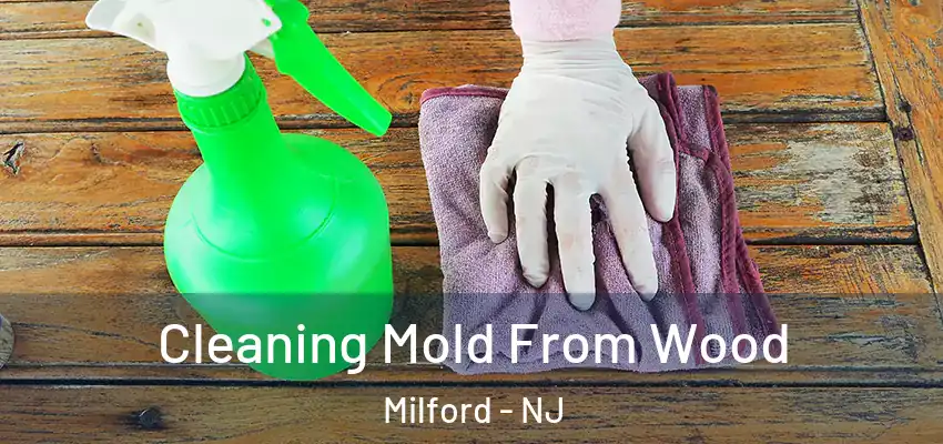 Cleaning Mold From Wood Milford - NJ