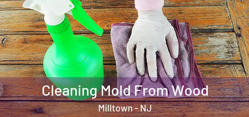  Cleaning Mold From Wood Milltown - NJ