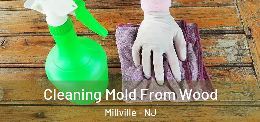 Cleaning Mold From Wood Millville - NJ