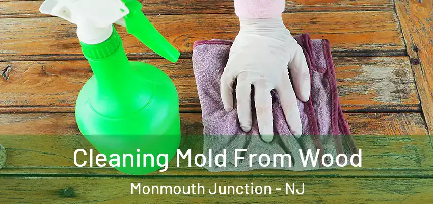  Cleaning Mold From Wood Monmouth Junction - NJ