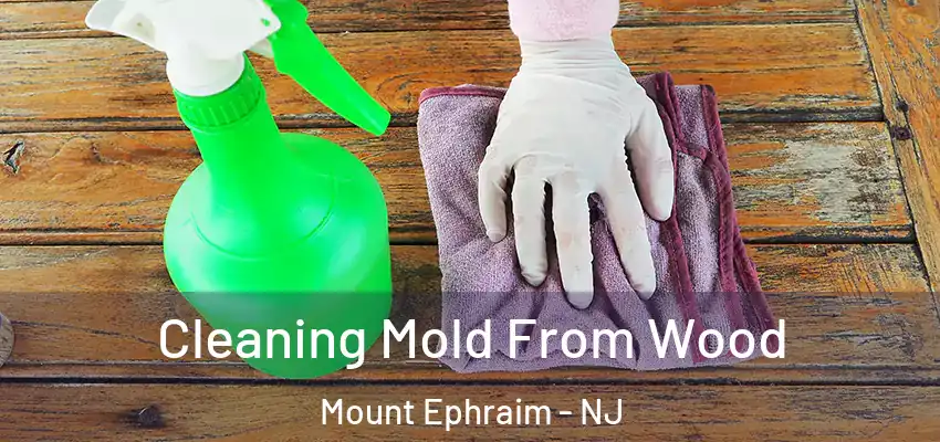 Cleaning Mold From Wood Mount Ephraim - NJ