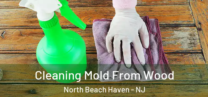  Cleaning Mold From Wood North Beach Haven - NJ