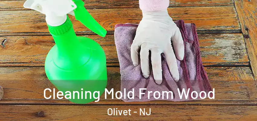  Cleaning Mold From Wood Olivet - NJ