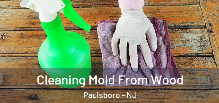 Cleaning Mold From Wood Paulsboro - NJ