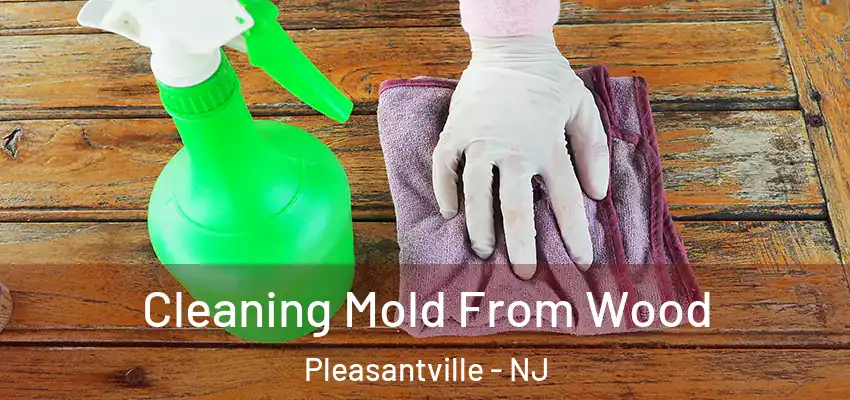 Cleaning Mold From Wood Pleasantville - NJ