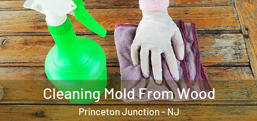 Cleaning Mold From Wood Princeton Junction - NJ