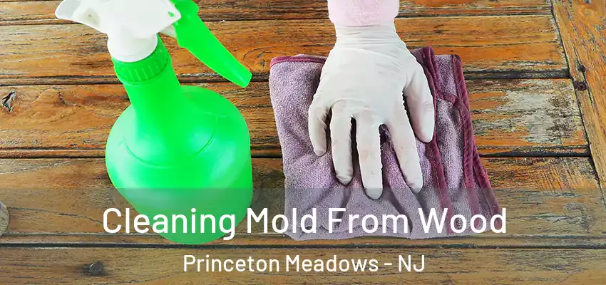 Cleaning Mold From Wood Princeton Meadows - NJ