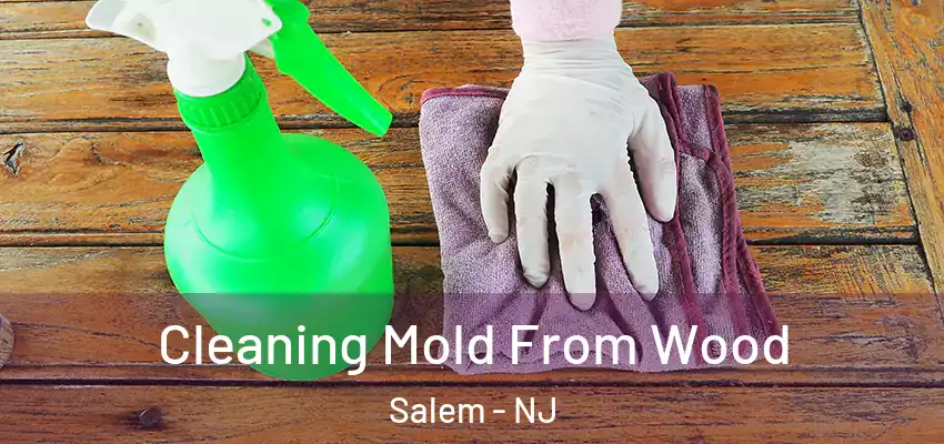 Cleaning Mold From Wood Salem - NJ