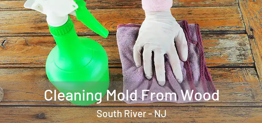  Cleaning Mold From Wood South River - NJ