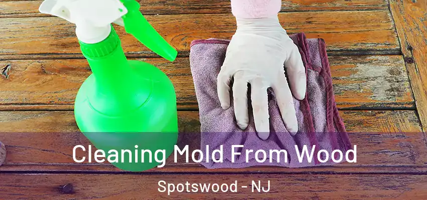  Cleaning Mold From Wood Spotswood - NJ