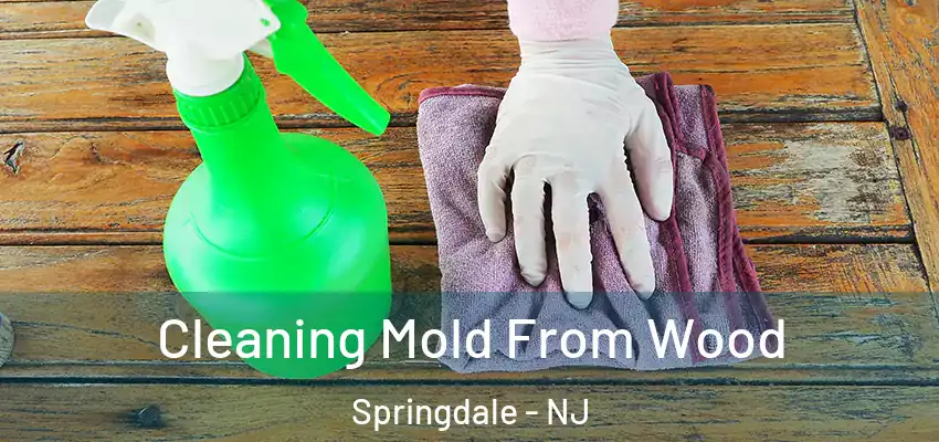Cleaning Mold From Wood Springdale - NJ