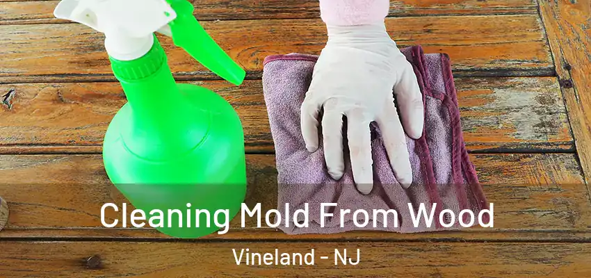 Cleaning Mold From Wood Vineland - NJ