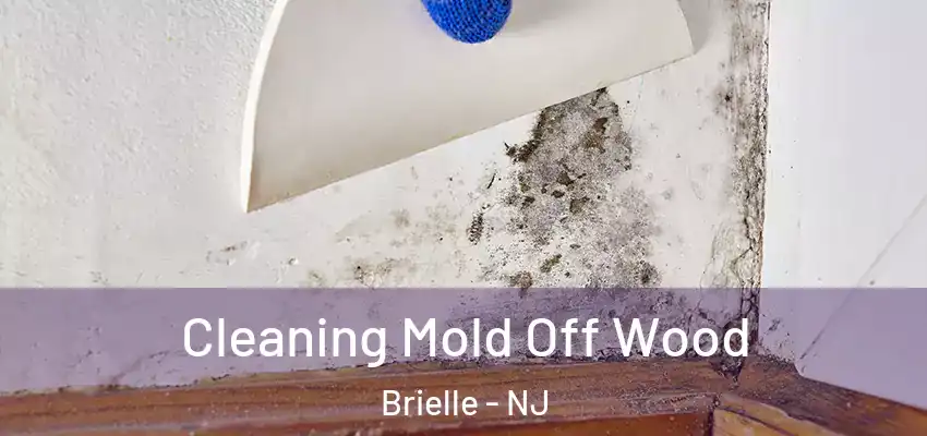  Cleaning Mold Off Wood Brielle - NJ