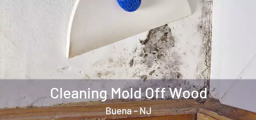  Cleaning Mold Off Wood Buena - NJ