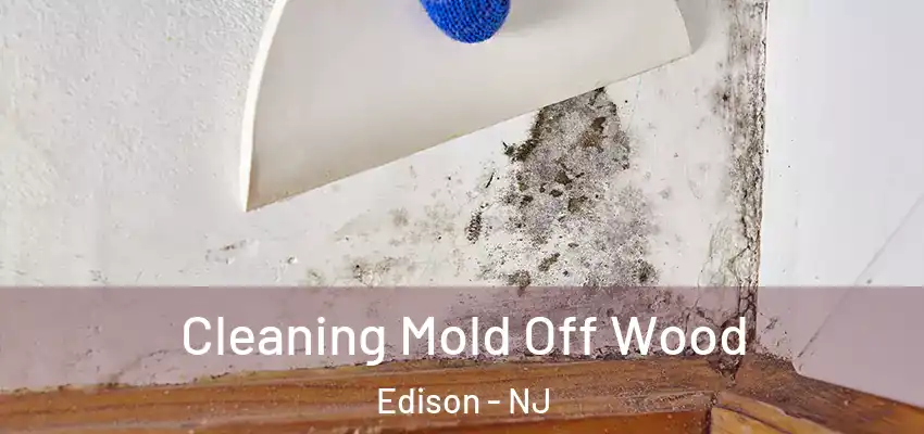 Cleaning Mold Off Wood Edison - NJ
