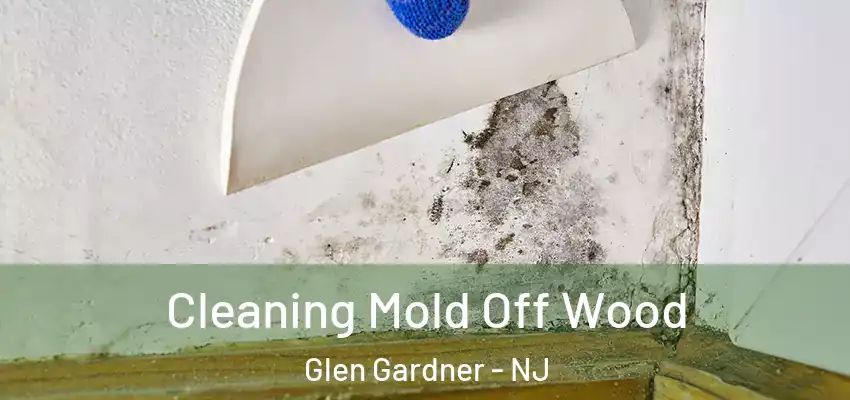 Cleaning Mold Off Wood Glen Gardner - NJ