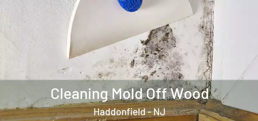  Cleaning Mold Off Wood Haddonfield - NJ