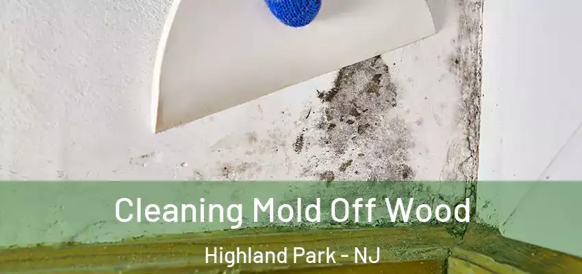 Cleaning Mold Off Wood Highland Park - NJ