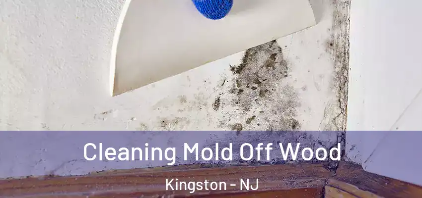 Cleaning Mold Off Wood Kingston - NJ