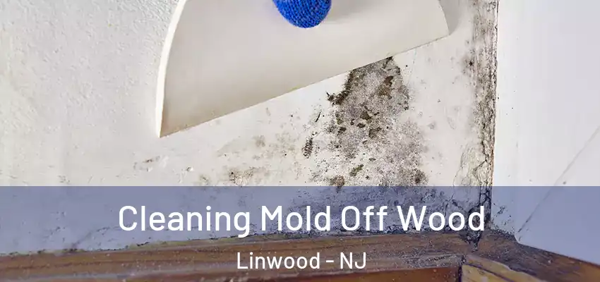 Cleaning Mold Off Wood Linwood - NJ