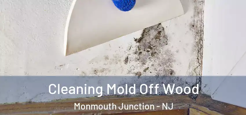Cleaning Mold Off Wood Monmouth Junction - NJ