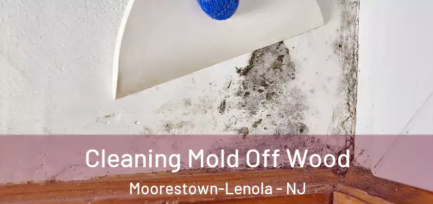  Cleaning Mold Off Wood Moorestown-Lenola - NJ