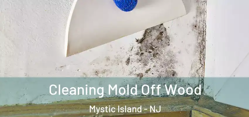 Cleaning Mold Off Wood Mystic Island - NJ