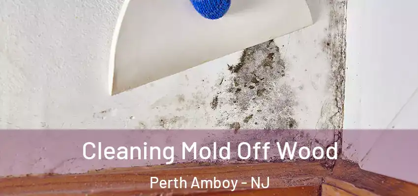  Cleaning Mold Off Wood Perth Amboy - NJ