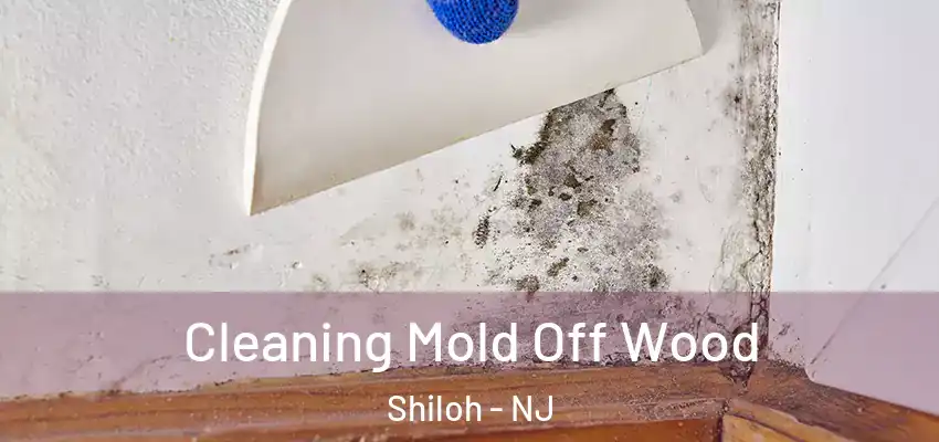  Cleaning Mold Off Wood Shiloh - NJ