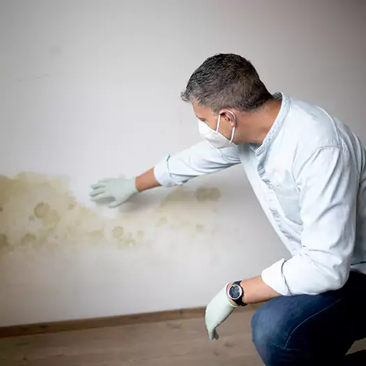 Trusted Mold Remediation and Removal Experts in Galloway, NJ