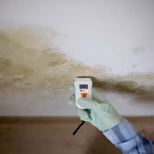 Reliable Mold Inspection Experts in Galloway, NJ