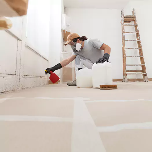 Reliable Mold Stain Remover Specialists in Galloway, NJ