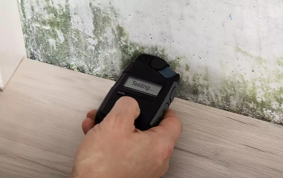 Top-Notch Mold Removal and Restoration Services in Galloway, NJ