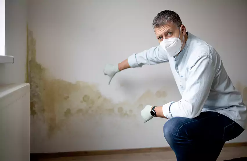 Mold Removal in Galloway, NJ